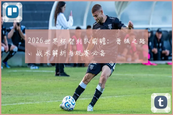 2026世界杯智利队前瞻：晋级之路、战术解析与观赛必备